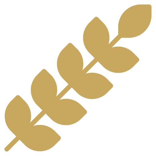 wheat-grain.png